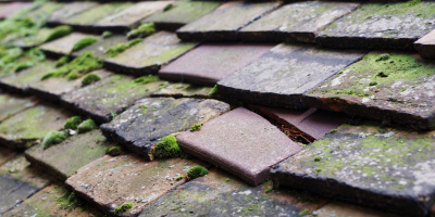 Crowlink roof repair costs